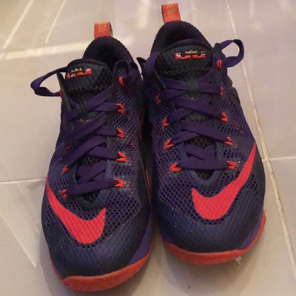 lebron xii low